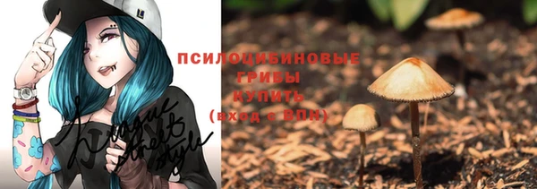 ALPHA PVP Алексин