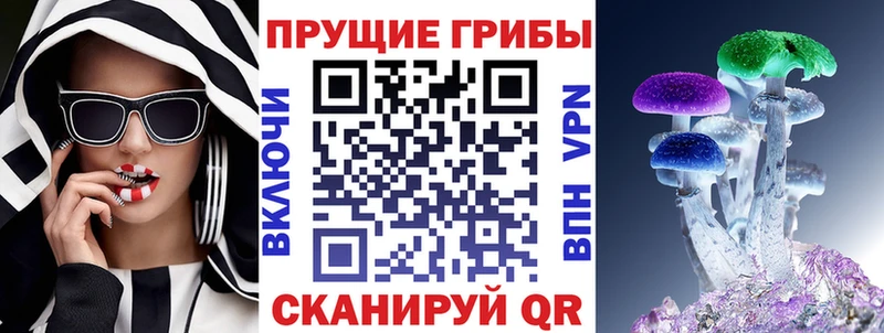 Галлюциногенные грибы Psilocybine cubensis Лаишево
